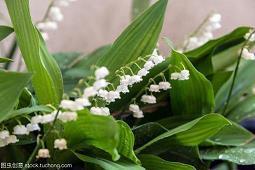 祝肚子里宝宝儿童节快乐的说说句子(精选32句)
