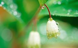 挽回爱人的感人句子