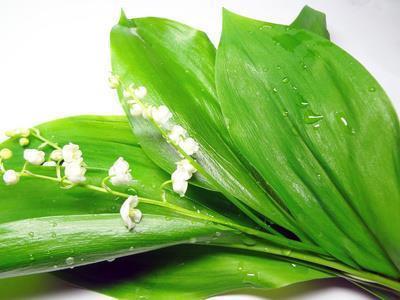 早安心语短句2021年 早安心语经典语录精选74句