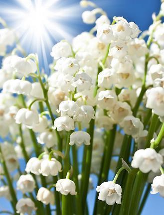 现实又很扎心的句子短句,明白一些事,看清一些人合集46句