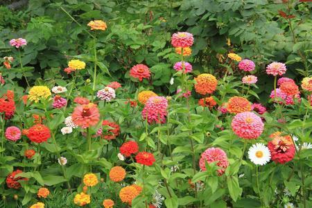 打篮球特开心的句子