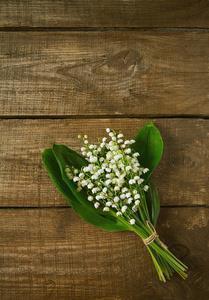 抖音超级温柔的英文文案 超级温柔的神仙句子英文集锦12句