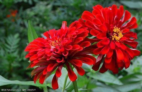 形容非常想念一个人的一段话(精选33句)