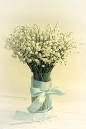 森林防火的优美句子 森林防火标语推荐57句