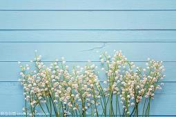 开心最重要的句子