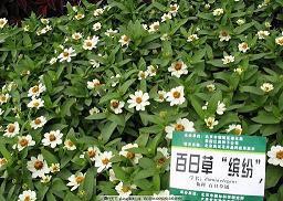 表示心累的经典伤感说说合集80句