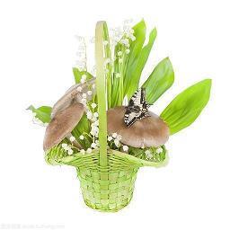 深夜无眠的伤感句子 凌晨三点失眠睡不着的说说55句