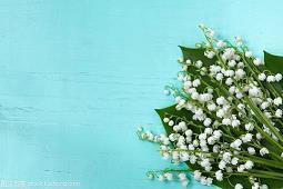 祝朋友开心的句子简短 祝朋友天天开心短语