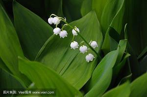 用烈日当空造句大全