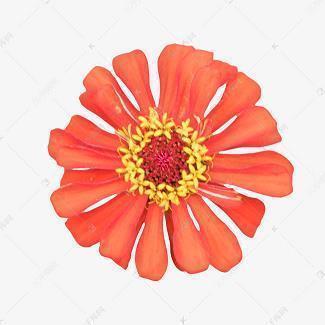 教师节宣传主题口号