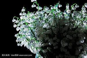 悲哀的句子75句