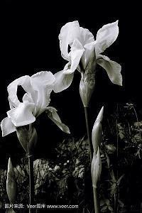 佛心禅语悟人生人品的句子