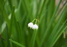 早安励志心语 每日早安心语励志心语汇总45句