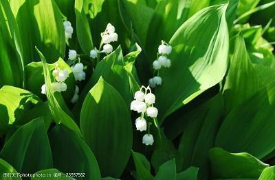 满眼都是你的句子语录(精选36句)