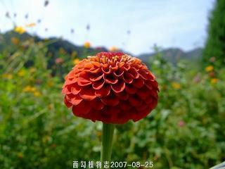 唯美伤感说说大全：让所有痛苦都有借口，正如所有背叛都是名