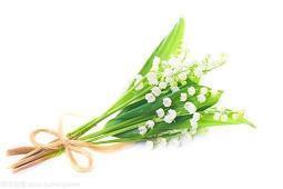 晚安短句正能量发圈 晚安说说朋友圈精选66句