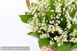 牛仔裤品牌推广语：你风一样自由