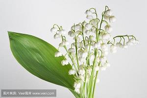 高三励志学习的句子(33句)