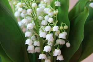 痛苦崩溃伤心欲绝句子 伤心欲绝的句子132句