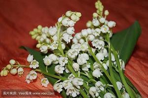 谈恋爱了的说说 谈恋爱专用语句(精选44句)