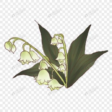 怀念青春的网红句子汇总52句