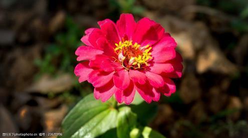 简单生活心态的句子发朋友圈