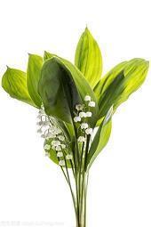 适合秋天早上发的朋友圈句子 秋天早安心语合集37句