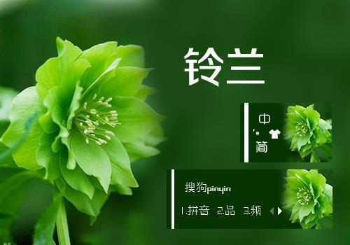 空间说说：别人笑我太疯癫，我笑他人看不穿