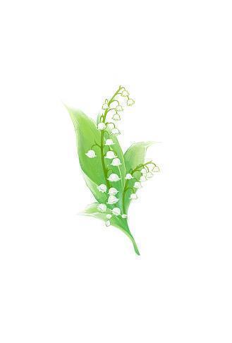 描写芒种的优美句子精选58句