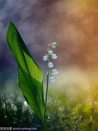 纪念辛亥革命的文案 关于纪念辛亥革命的文案(精选49句)