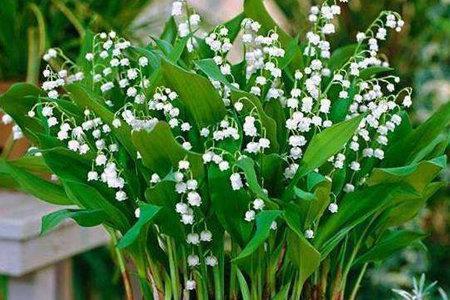 学会包容的爱情句子