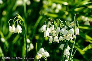 有关新年的励志句子(24句)