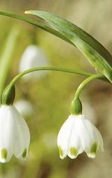 致2021高考励志祝福文案