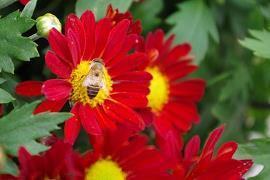 晚安语录发圈说说心情微语精选38句