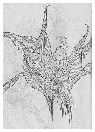 【推荐】新年心愿说说朋友圈句子文案汇编107句