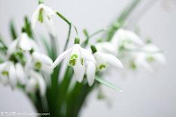 描写突然心痛的句子