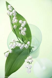 优美的惊蛰养生语录大全