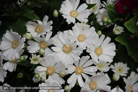 比较霸气的个性说说大全56句