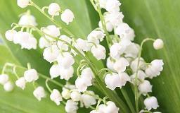 经典小说句子大全