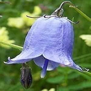 结婚七年甜蜜的纪念日的句子 结婚七年纪念日朋友圈说说