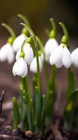 形容领悟的句子100句