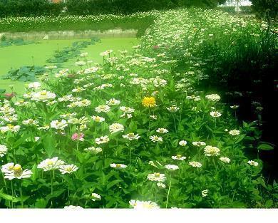 伤感唯美的短句子88句