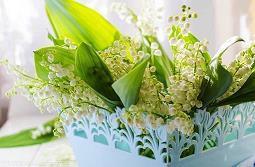 晨语问候加油激励语 早安语录正能量摘录26句