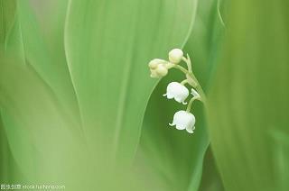 最新和下雪有关说说大全 朋友圈下雪说说经典(精选61句)