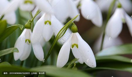有深度有涵养的句子 心态决定格局正能量句子