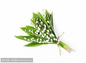 春暖花开的句子唯美