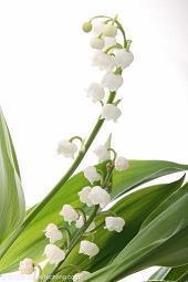 美食与生活感悟的句子