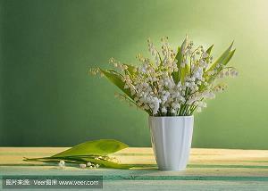 写给友情的唯美句子47句