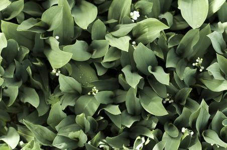 新的一周又开始了心语