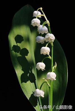 怎么用习惯造句大全